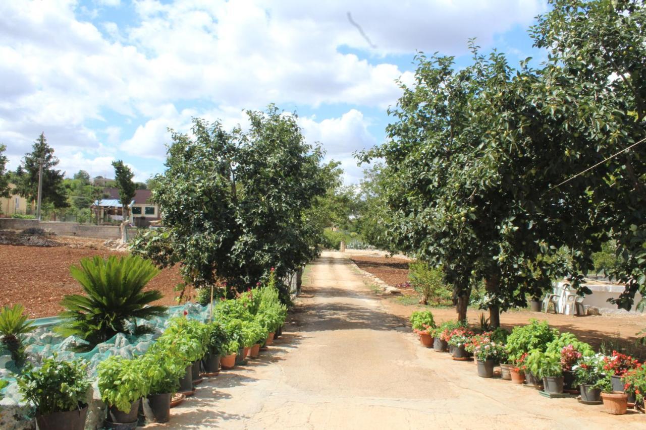 Comoda Casa Nella Campagna Pugliese Holiday home Fasano